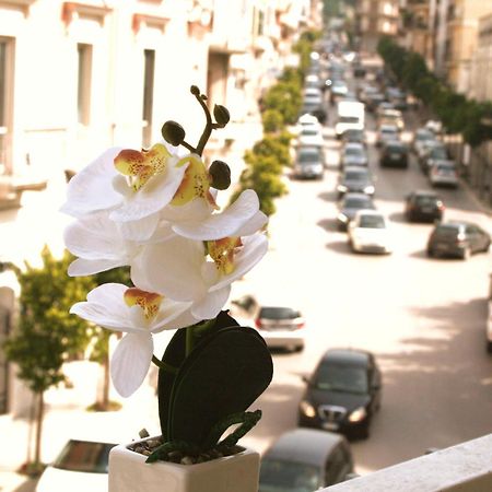 Dimore Demetra Canosa di Puglia Eksteriør bilde
